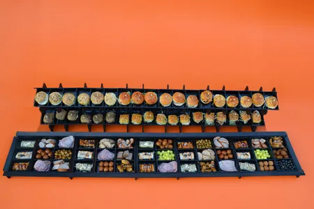 HAPJES BUFFET #2 – 1 METER 80 CM LANG incl hapjes mini broodjes burgers incl rek en plateau