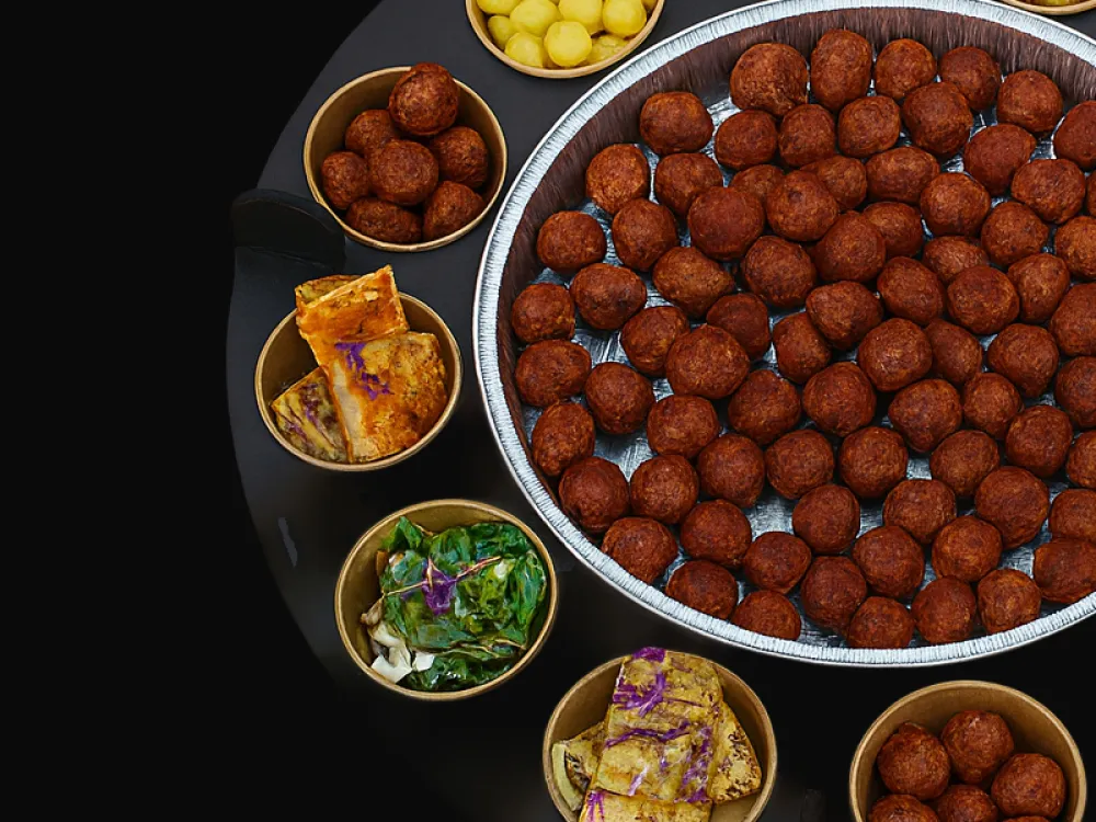 VEGA Cateringschaal GROOT inclusief ovenschaal met vegaballetjes