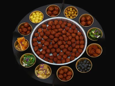VEGA Cateringschaal GROOT inclusief ovenschaal met vegaballetjes